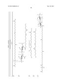 BOLAAMPHIPHILIC COMPOUNDS, COMPOSITIONS AND USES THEREOF diagram and image