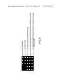 Lanthanide Nanoparticle Conjugates and Uses Thereof diagram and image