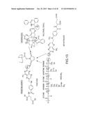 Lanthanide Nanoparticle Conjugates and Uses Thereof diagram and image