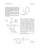 Lanthanide Nanoparticle Conjugates and Uses Thereof diagram and image