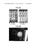 CONTACT STATE OBSERVATION APPARATUS OF GOLF BALL AND CONTACT STATE     OBSERVATION METHOD OF GOLF BALL diagram and image