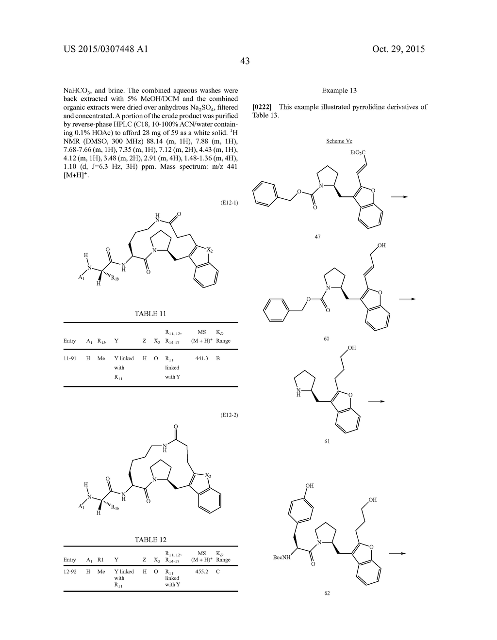 IAP Binding Compounds - diagram, schematic, and image 44