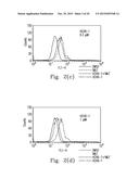 FPR1 ANTAGONIST DERIVATIVES AND USE THEREOF diagram and image