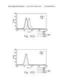 FPR1 ANTAGONIST DERIVATIVES AND USE THEREOF diagram and image