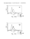 FPR1 ANTAGONIST DERIVATIVES AND USE THEREOF diagram and image