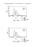 FPR1 ANTAGONIST DERIVATIVES AND USE THEREOF diagram and image