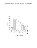 FPR1 ANTAGONIST DERIVATIVES AND USE THEREOF diagram and image