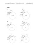 CHIMERIC VACCINE ANTIGENS AGAINST HEPATITIS C VIRUS diagram and image