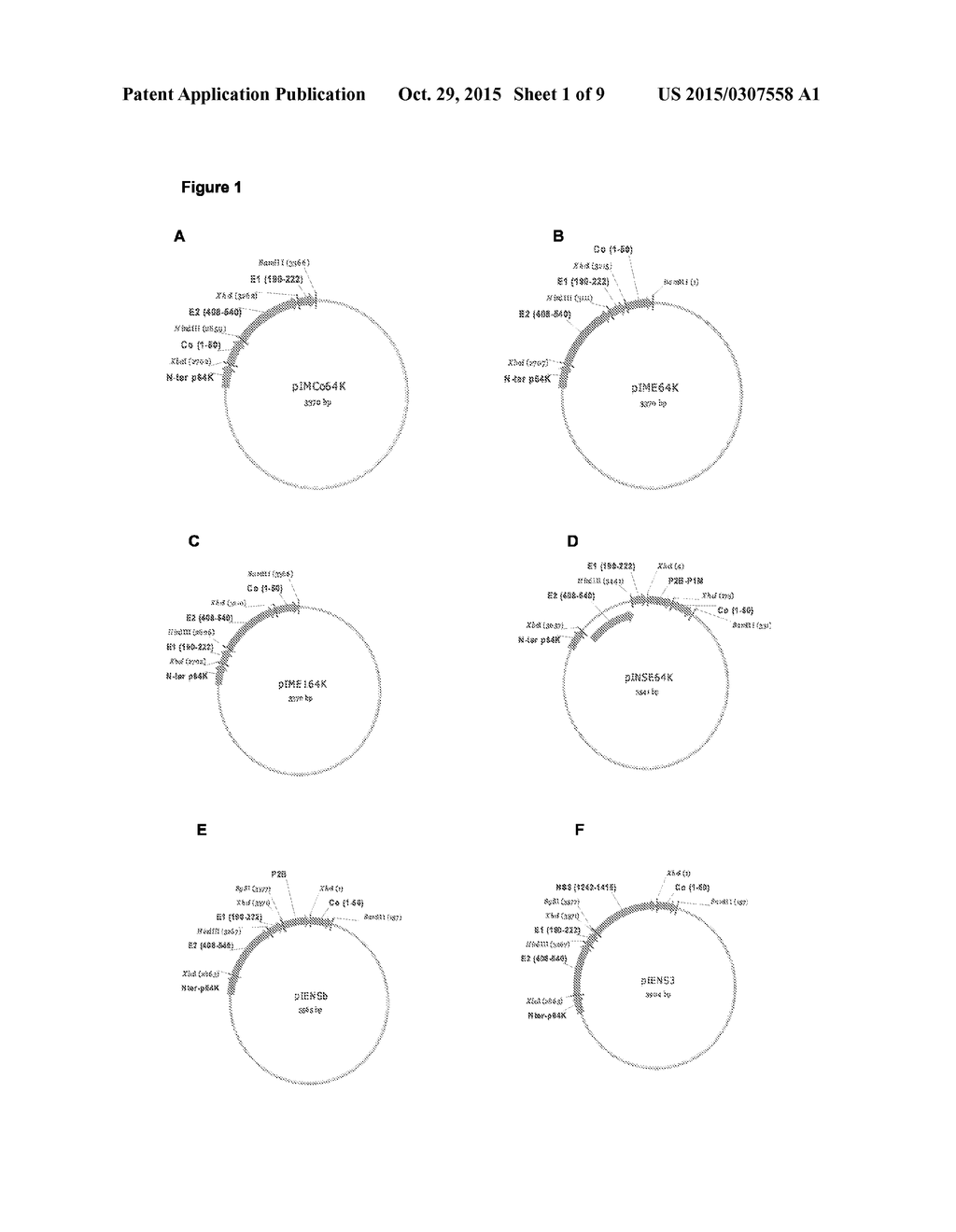 CHIMERIC VACCINE ANTIGENS AGAINST HEPATITIS C VIRUS - diagram, schematic, and image 02