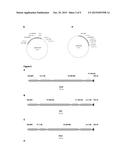 CHIMERIC VACCINE ANTIGENS AGAINST HEPATITIS C VIRUS diagram and image