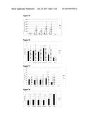 CHIMERIC VACCINE ANTIGENS AGAINST HEPATITIS C VIRUS diagram and image