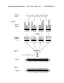 ENGINEERED TRANSCRIPTION ACTIVATOR LIKE EFFECTOR (TALE) PROTEINS diagram and image