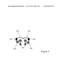 BIOLOGICALLY FORMED NANOSCALE DEVICES diagram and image