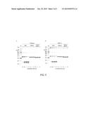 MODIFIED GALECTIN-9 PROTEIN diagram and image