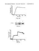 ANTI-CAMPYLOBACTER JEJUNI ANTIBODIES AND USES THEREFOR diagram and image