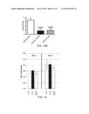 ANTI-CAMPYLOBACTER JEJUNI ANTIBODIES AND USES THEREFOR diagram and image