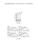 ANTI-CAMPYLOBACTER JEJUNI ANTIBODIES AND USES THEREFOR diagram and image