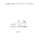 ANTI-NPY AND PYY ANTIBODIES AND USES THEREOF diagram and image