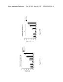 ANTI-NPY AND PYY ANTIBODIES AND USES THEREOF diagram and image