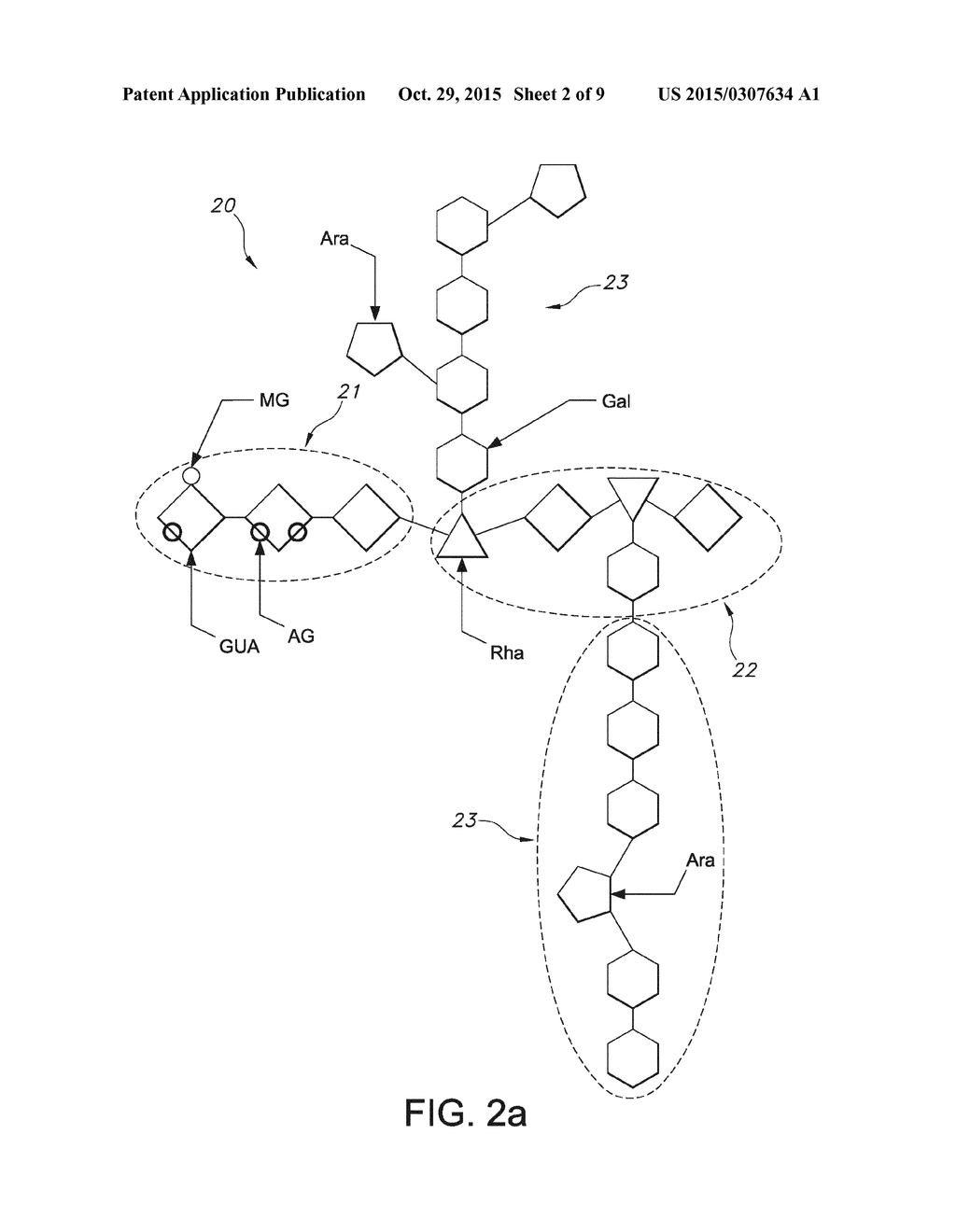 PECTIN EXTRACTION FROM COFFEE PULP - diagram, schematic, and image 03