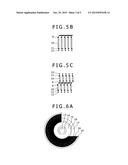 METHOD FOR FORMING POLYMER USING BORON COMPOUND, POLYMERIZATION INITIATOR     AND THE POLYMER diagram and image