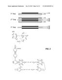 ION CONDUCTING POLYMER COMPRISING PARTIALLY BRANCHED BLOCK COPOLYMER AND     USE THEREOF diagram and image