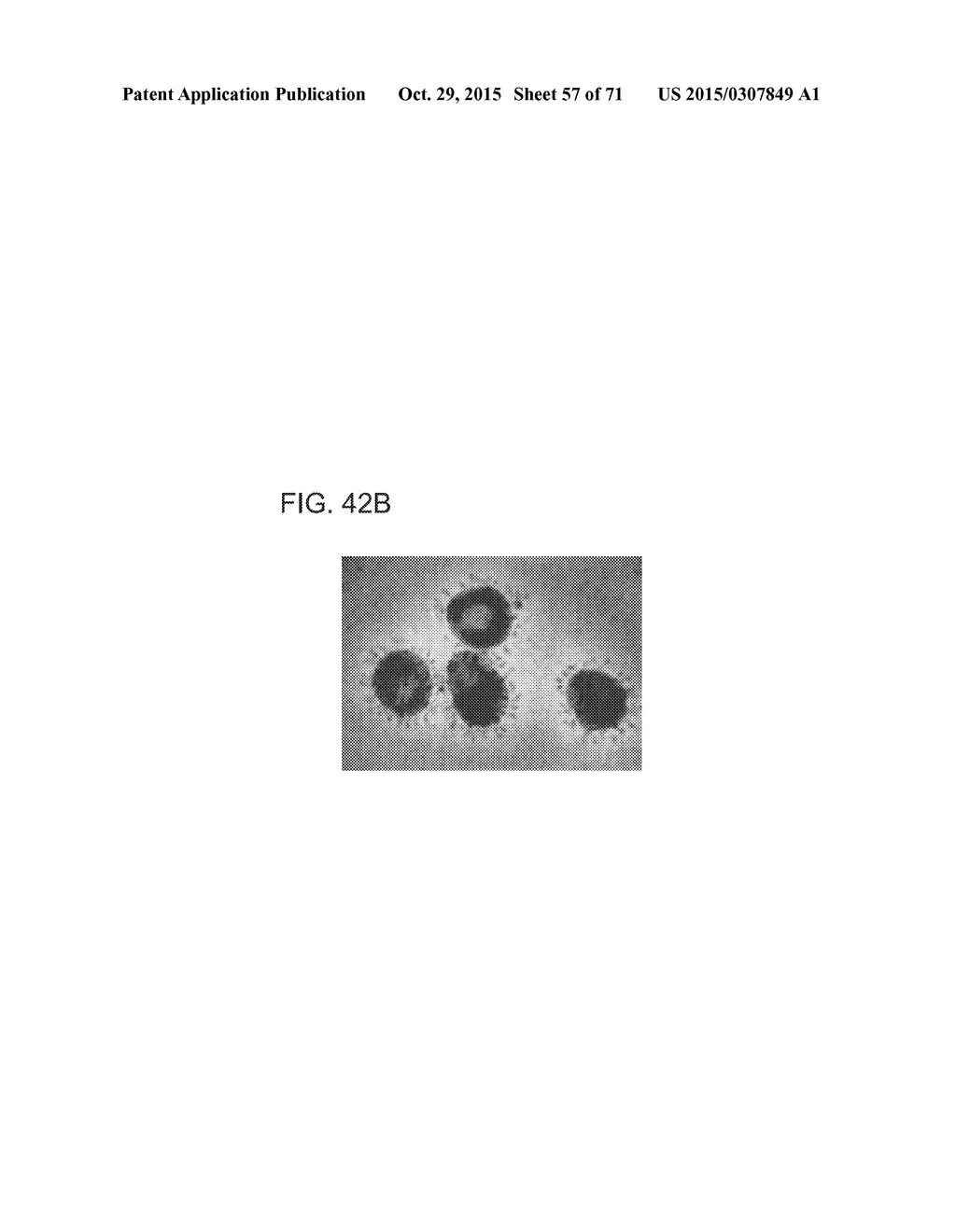 HIGHLY EFFICIENT INFLUENZA MATRIX (M1) PROTEINS - diagram, schematic, and image 58