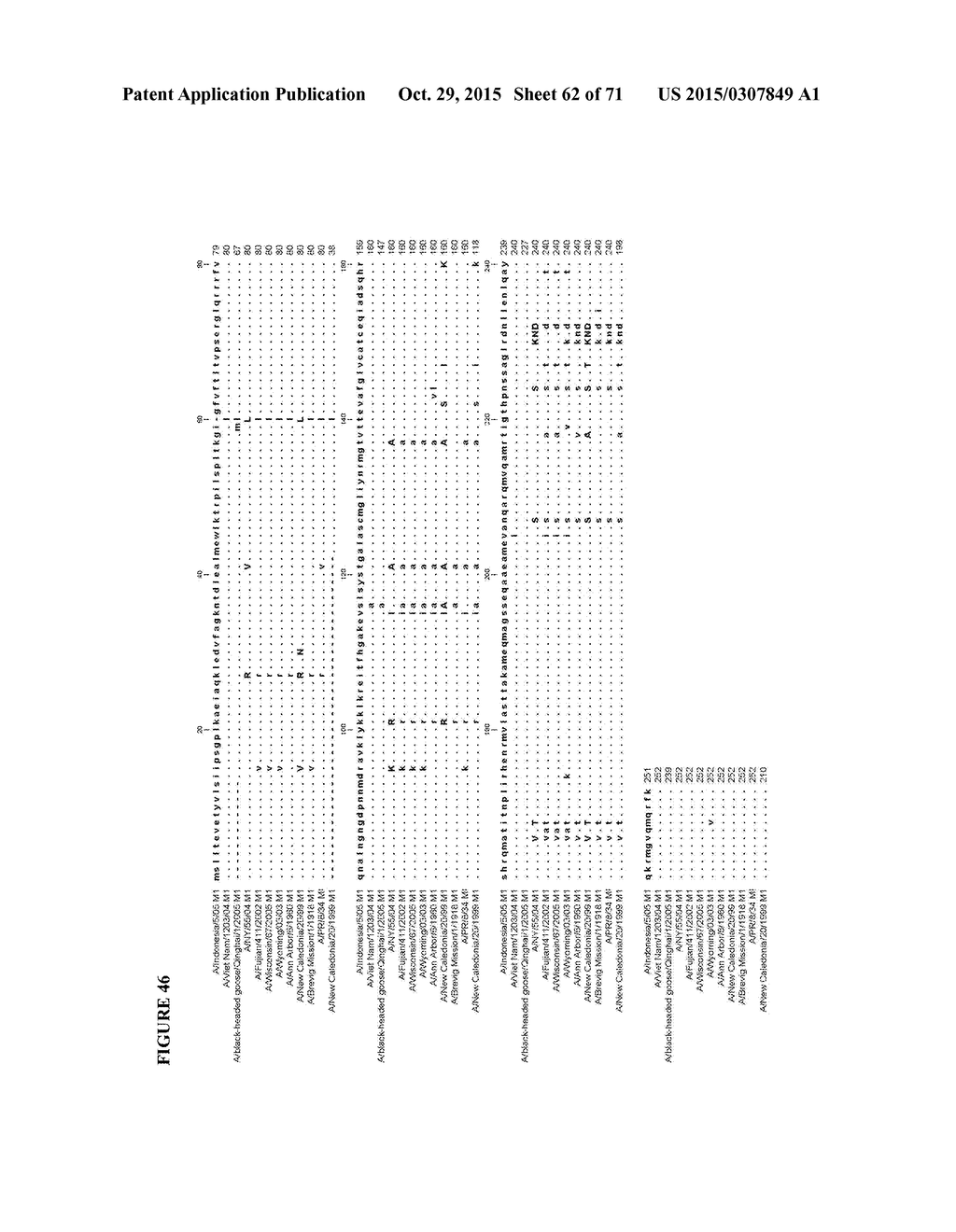 HIGHLY EFFICIENT INFLUENZA MATRIX (M1) PROTEINS - diagram, schematic, and image 63