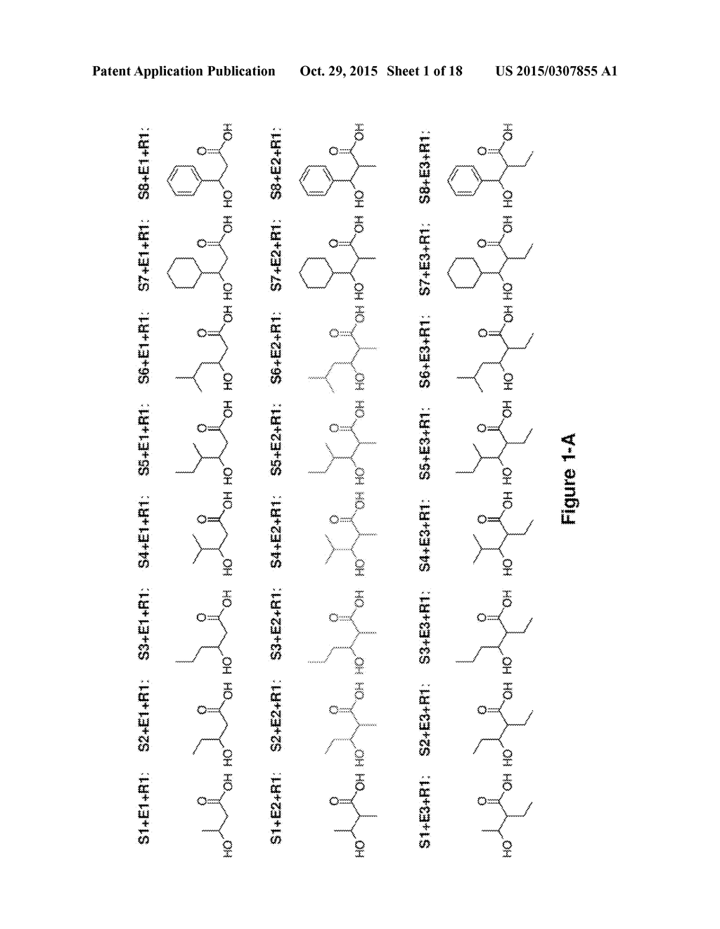 Producing 3-Hydroxycarboxylic Acid and Ketone Using Polyketide Synthases - diagram, schematic, and image 02