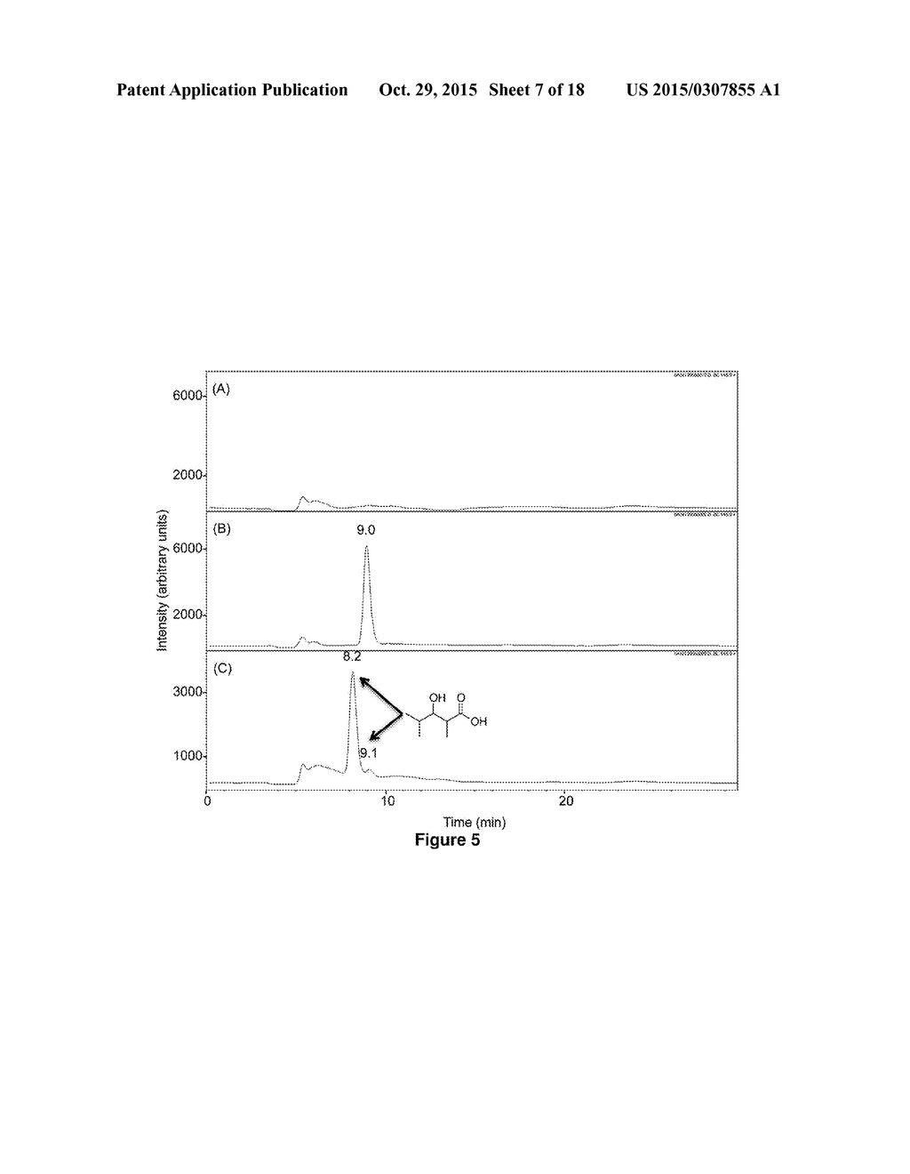 Producing 3-Hydroxycarboxylic Acid and Ketone Using Polyketide Synthases - diagram, schematic, and image 08