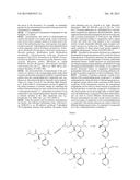 BIOCATALYSTS AND METHODS FOR THE SYNTHESIS OF SUBSTITUTED LACTAMS diagram and image