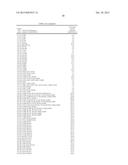 BIOCATALYSTS AND METHODS FOR THE SYNTHESIS OF SUBSTITUTED LACTAMS diagram and image