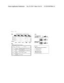 NOVEL RECOMBINANT FACTOR C AND METHOD FOR PRODUCING THE SAME, AND METHOD     FOR MEASURING ENDOTOXIN diagram and image