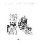 COAGULATION FACTOR VII POLYPEPTIDES diagram and image