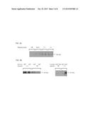 APTAMERS, MULTIMERIC APTAMERS AND USES THEREOF diagram and image