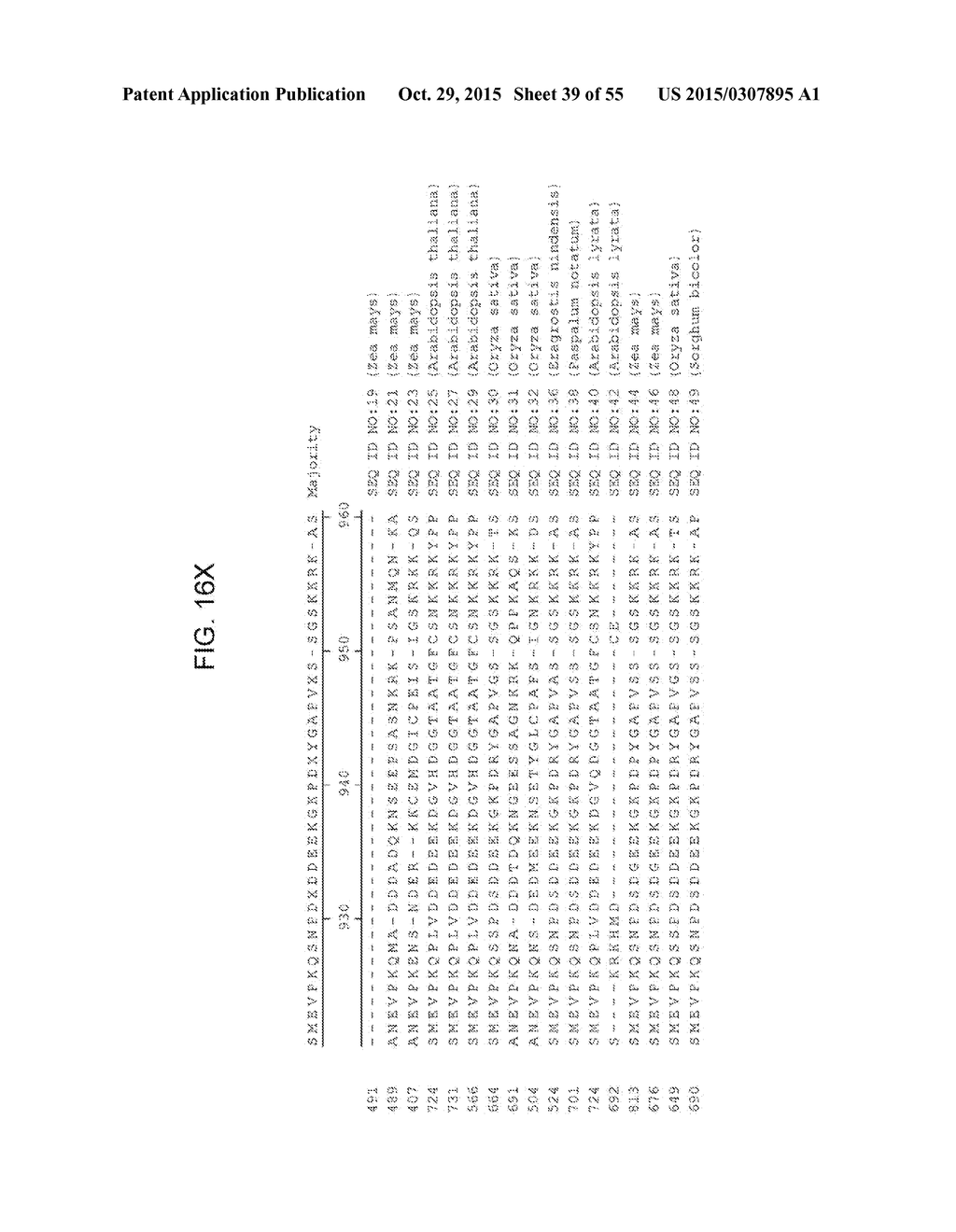 PLANTS HAVING ALTERED AGRONOMIC CHARACTERISTICS UNDER NITROGEN LIMITING     CONDITIONS AND RELATED CONSTRUCTS AND METHODS INVOLVING GENES ENCODING     SNF2 DOMAIN-CONTAINING POLYPEPTIDES - diagram, schematic, and image 40