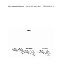 DETECTION OF OLIGOSACCHARIDES diagram and image