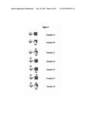 DETECTION OF OLIGOSACCHARIDES diagram and image