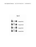 DETECTION OF OLIGOSACCHARIDES diagram and image