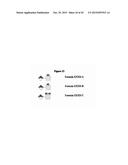 DETECTION OF OLIGOSACCHARIDES diagram and image