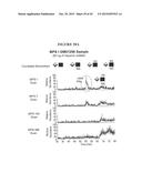 DETECTION OF OLIGOSACCHARIDES diagram and image