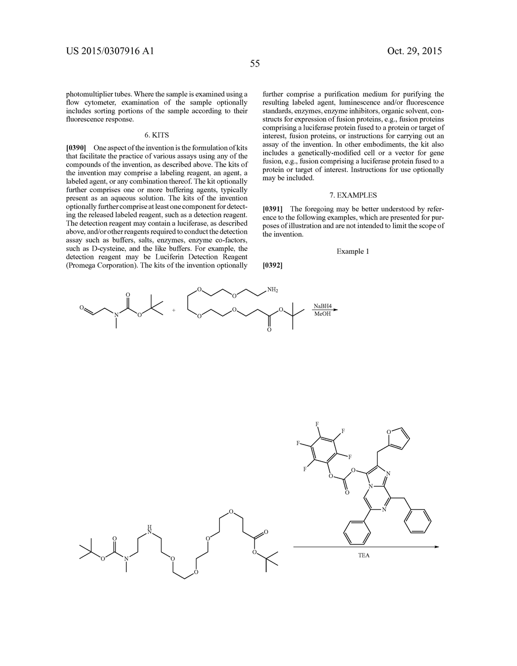 QUINONE-MASKED PROBES AS LABELING REAGENTS FOR CELL UPTAKE MEASUREMENTS - diagram, schematic, and image 73