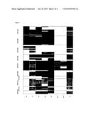 EPIGENETIC METHOD FOR THE IDENTIFICATION OF SUBPOPULATIONS OF CD8+ T     LYMPHOCYTES, IN PARTICULAR CD8 ALPHA AND BETA T LYMPHOCYTES diagram and image