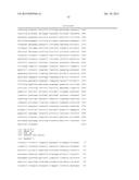 EPIGENETIC METHOD FOR THE IDENTIFICATION OF SUBPOPULATIONS OF CD8+ T     LYMPHOCYTES, IN PARTICULAR CD8 ALPHA AND BETA T LYMPHOCYTES diagram and image