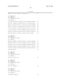 EPIGENETIC METHOD FOR THE IDENTIFICATION OF SUBPOPULATIONS OF CD8+ T     LYMPHOCYTES, IN PARTICULAR CD8 ALPHA AND BETA T LYMPHOCYTES diagram and image