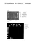 Method of Detecting Heat-Resistant Fungus diagram and image