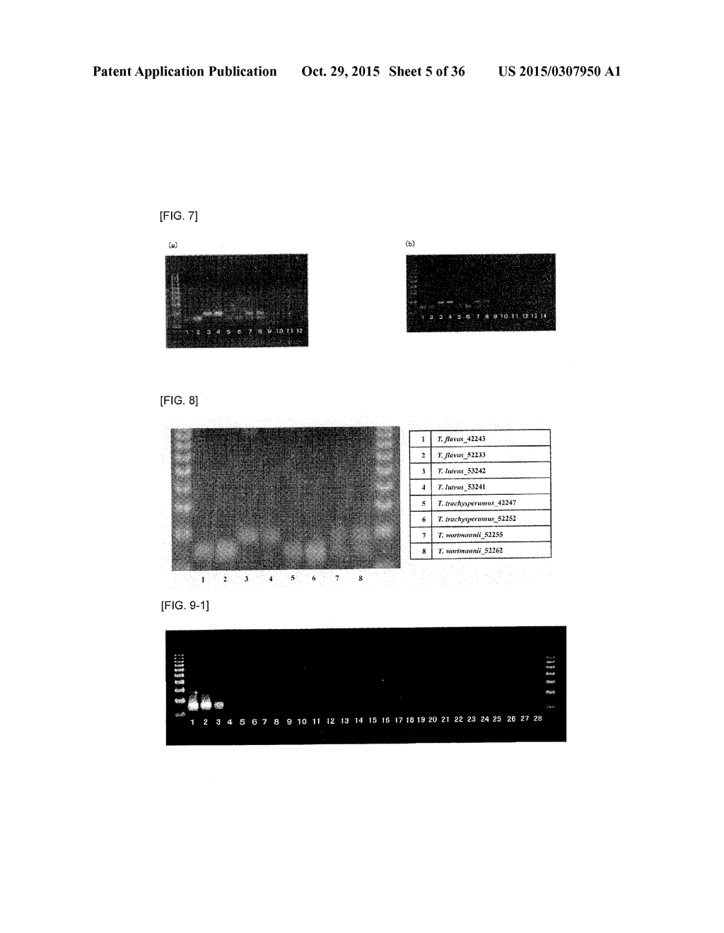 Method of Detecting Heat-Resistant Fungus - diagram, schematic, and image 06