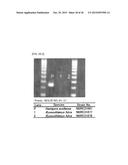 Method of Detecting Heat-Resistant Fungus diagram and image