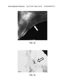 GRAPHENE AND GRAPHENE OXIDE NANO-ENVIRONMENTS FOR CHEMICAL REACTIONS AND     ATOMIC REFORMATIONS diagram and image