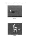 GRAPHENE AND GRAPHENE OXIDE NANO-ENVIRONMENTS FOR CHEMICAL REACTIONS AND     ATOMIC REFORMATIONS diagram and image